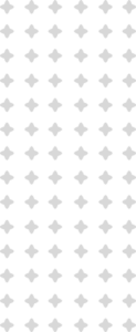 à Propos de L'Université Pattern V 123x300